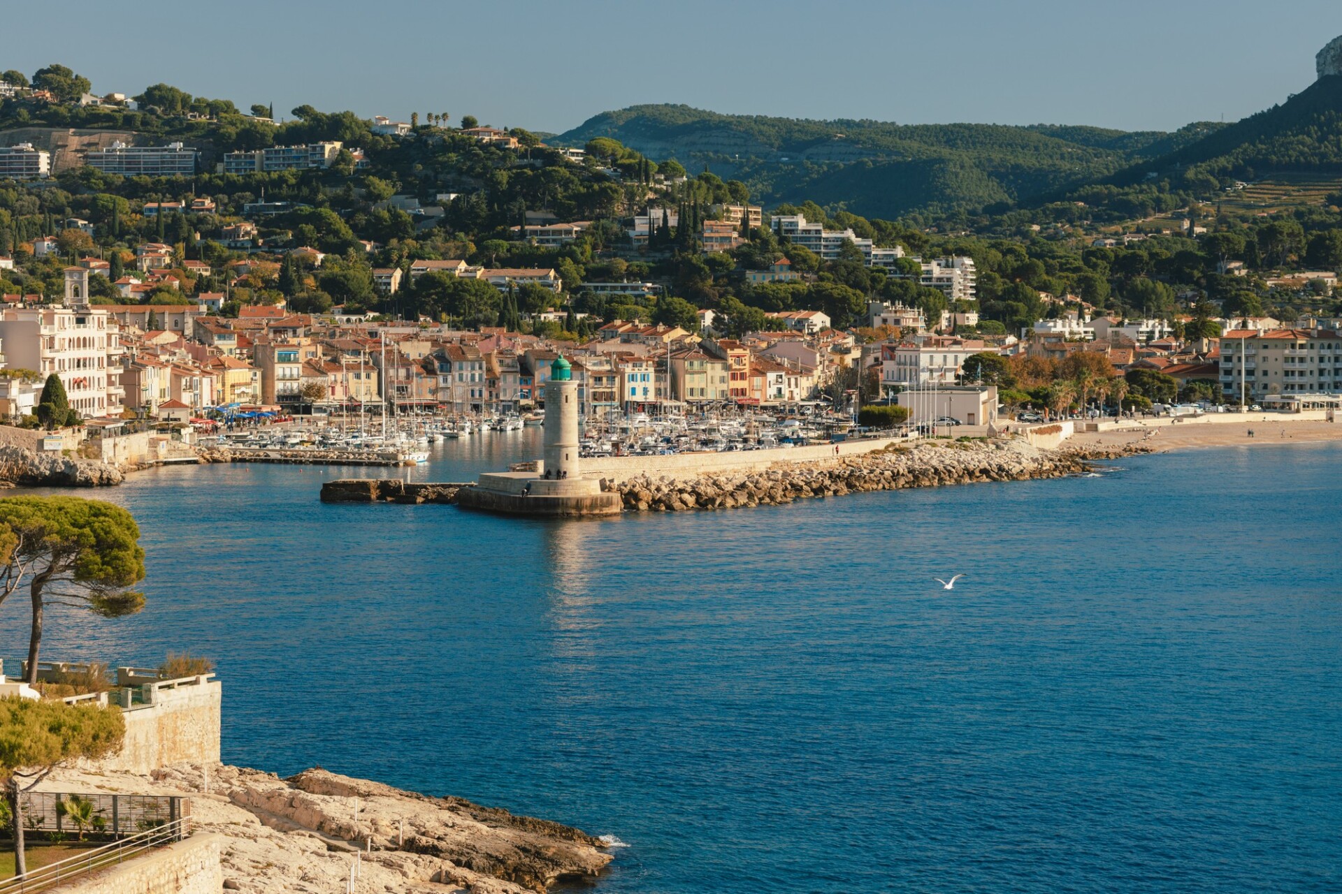 Hôtel Les Roches Blanches