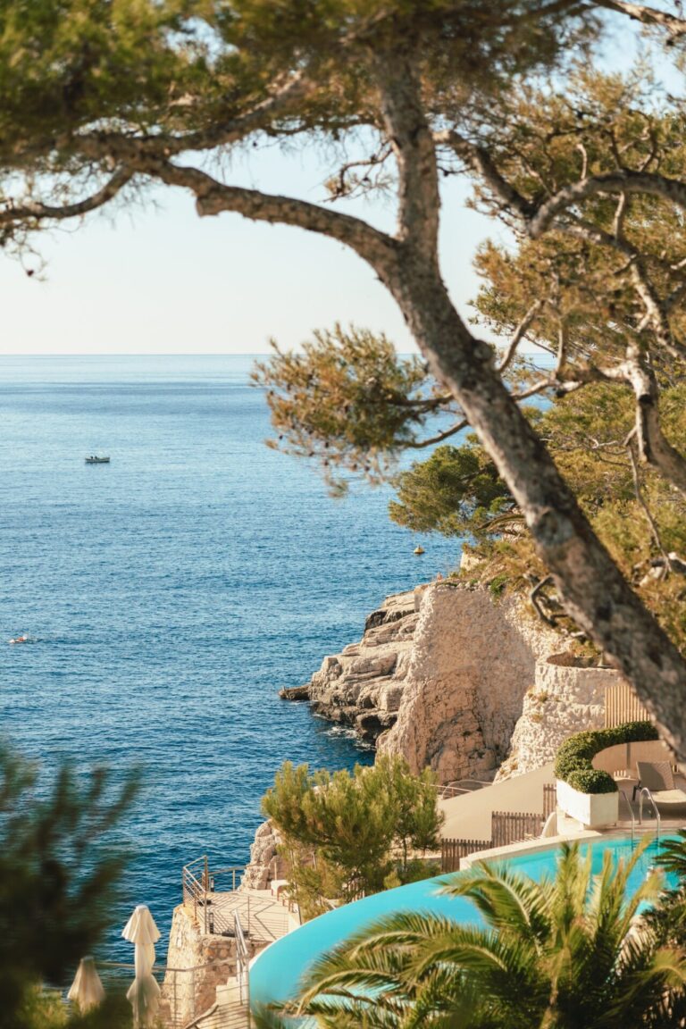 Hôtel Les Roches Blanches