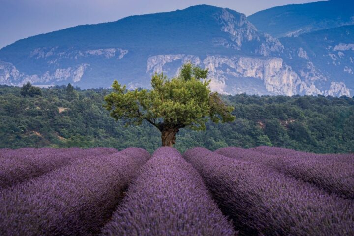 © le-sixieme-reve-unsplash