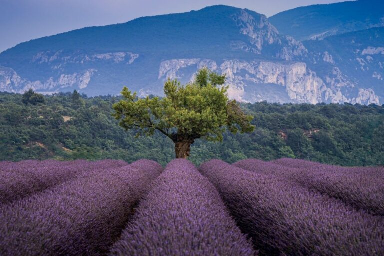 © le-sixieme-reve-unsplash