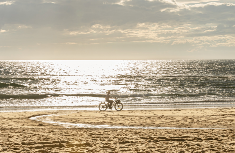 70 Hectares…et l’Océan