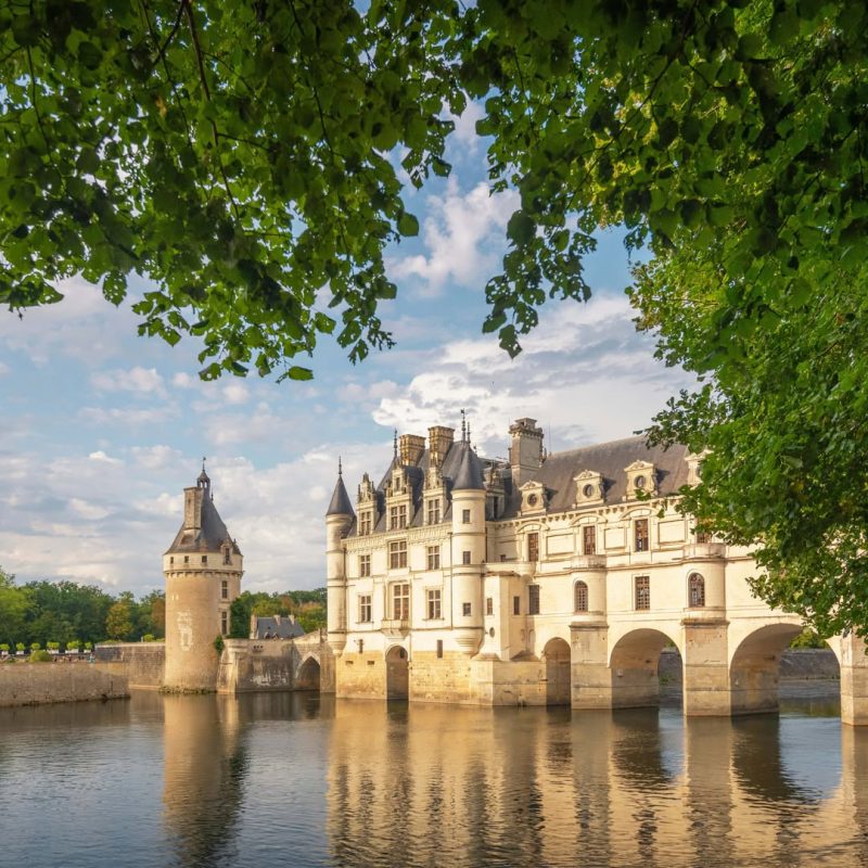 Les Hauts de Loire - galerie 2