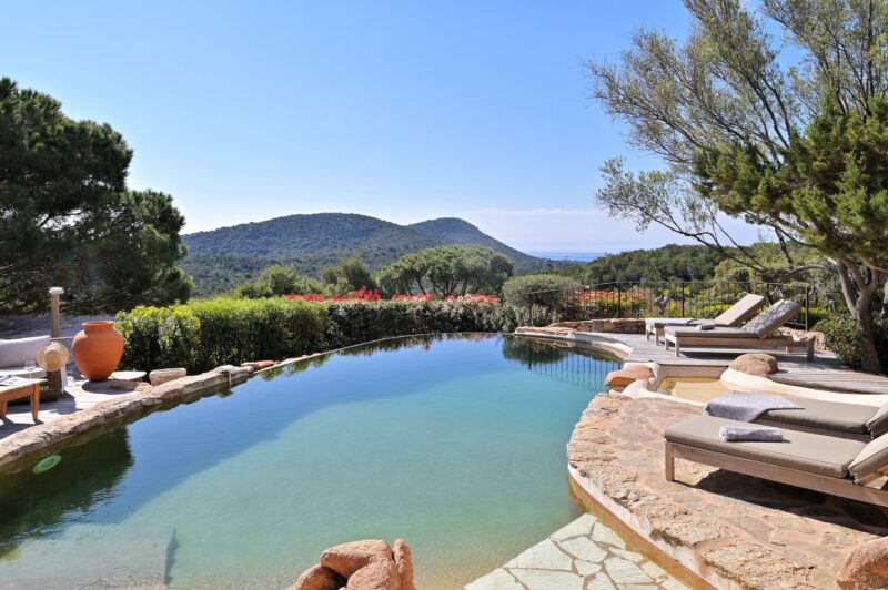 Les Oliviers de Palombaggia